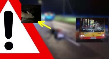 Autobus, auto i jeleń brały udział w wypadku (ZDJĘCIA)