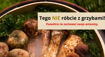 Grzyby TO ISTNY MAGAZYN WITAMIN. Jak je obrabiać?