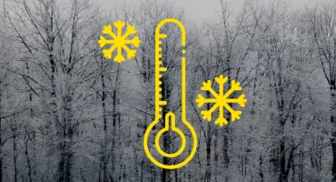Pierwsze przymrozki już za nami. Ale kiedy spadnie pierwszy śnieg?