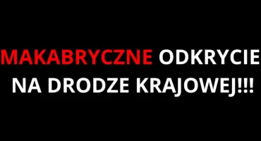 Koszmarne odkrycie na DK7 w Tarczynie. Zwłoki na środku drogi!