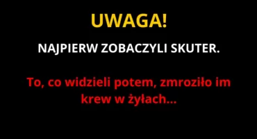Makabryczne znalezisko na drodze. Tajemnicza tragedia