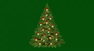 CHOINKA WYBUCHNIE WIELOMA KOLORAMI. Wydarzenie na Pradze-Południe