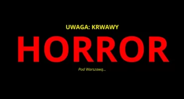 HORROR za zamkniętymi drzwiami. Zabójstwo byłej żony i matki!