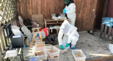 Wynajął dom i uruchomił narkotykową fabrykę! Policja odkryła, co działo się za zamkniętymi drzwiami