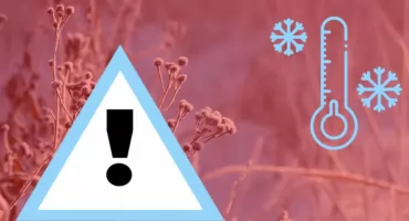 Mrozy znowu nadchodzą. Polska przygotowuje się na zimowy kataklizm