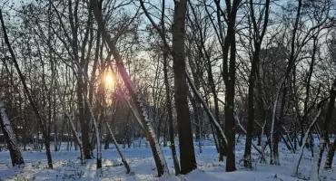 Pogoda jeszcze nas zaskoczy. To nie koniec mrozów i śniegu