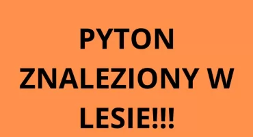 Martwy pyton znaleziony w Otwocku. Miał ponad 2 metry!!!