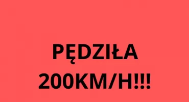 Jechała 200km/h bo... spieszyła się 