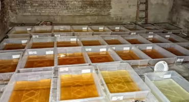 Z KRAJU: CBŚP rozbiło sieć nielegalnych laboratoriów!!!