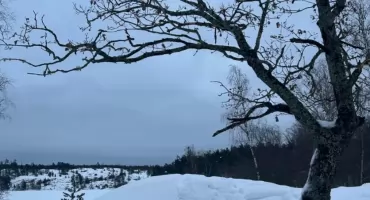 Dzieci chodziły po zamarzniętej tafli stawu. Gdzie rodzice? 