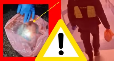 SZOKUJĄCE ZNALEZISKO w Rembertowie. Jakim cudem tyle tego było?!