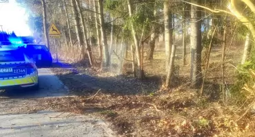 Opowieść o sarnach nie była wiarygodna. Zdarzenie w Wilczej Górze