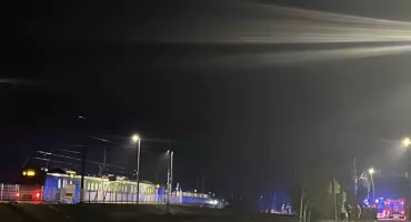 Wypadek z udziałem dzikiej zwierzyny!!!