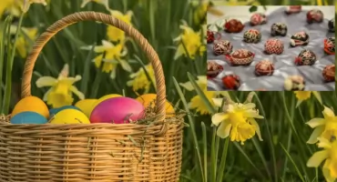 Ten KIERMASZ WIELKANOCNY w Wawrze to nie tylko ozdoby (ATRAKCJE)