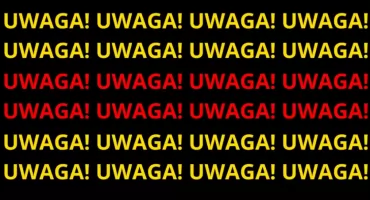 DRAMATYCZNY wypadek na Podlasiu. Pociąg uderzył w ŻUBRY
