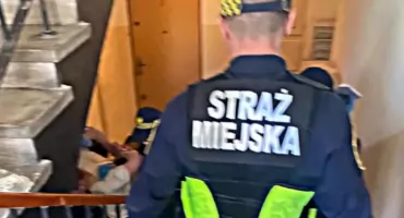 DZIWNY PSIKUS. Nietypowa interwencja we Włochach