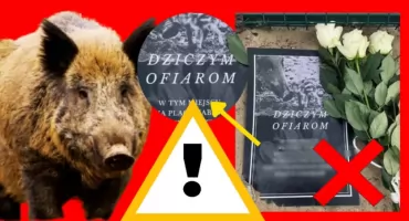 PLAC ZABAW ŚMIERTELNĄ PUŁAPKĄ. Dziki zginęły, mieszkańcy wściekli