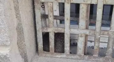 Jeż w tarapatach! Akcja ratownicza zakończona sukcesem. 