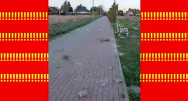 Jeż ZABITY w BESTIALSKI sposób. Koszmar zwierzęcia na Mazowszu