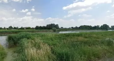 Wyjątkowe Jezioro Lisowskie w Wilanowie. W sam raz na spacer!