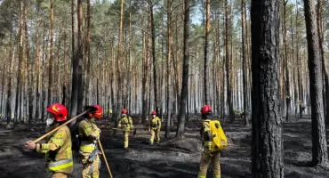AKTUALIZACJA: GIGANTYCZNY pożar LASÓW W POW. WOŁOMIŃSKIM