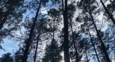Zbudował nielegalny most na terenie rezerwatu przyrody. 