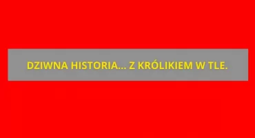 Dziwnie zachowująca się 19-latka ZATRZYMANA. Akcja w Legionowie!