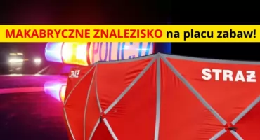 POTWORNE ODKRYCIE na placu zabaw. To w Strzeniówce