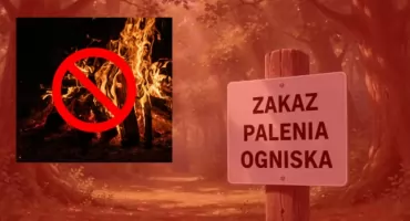 PILNE! Teraz w Lesie Kabackim nie zapalicie nawet PAPIEROSA