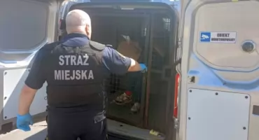 ALKOHOL ZDRADZIŁ POSZUKIWANEGO. Interwencja na Pradze-Południe!