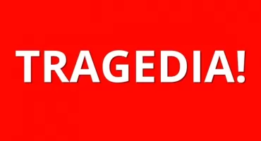 Tragedia podczas WYCINKI na DZIAŁCE. 72-latek NIE ŻYJE