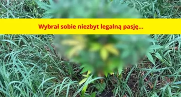 29-latek z NIELEGALNYM ZAMIŁOWANIEM. Policjanci założyli mu kajdanki!