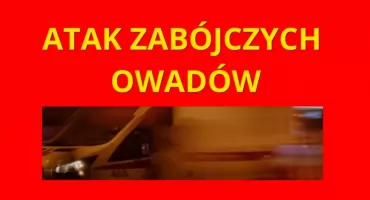 SZOKUJĄCY ATAK KRWIOŻERCZYCH OWADÓW w Wawrze 