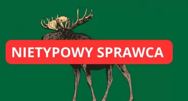 Paraliż na linii średnicowej w Warszawie! Łoś spacerował po torach przy Centralnym!