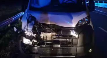 POWAŻNY wypadek z udziałem DZIKIEGO ZWIERZĘCIA