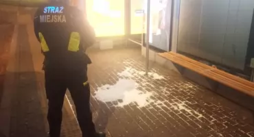KRZYKI I AGRESJA. Interwencja na przystanku na Pradze-Południe 