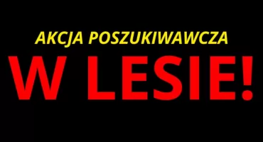 Akcja poszukiwawcza w lesie! Policjanci znaleźli grzybiarzy